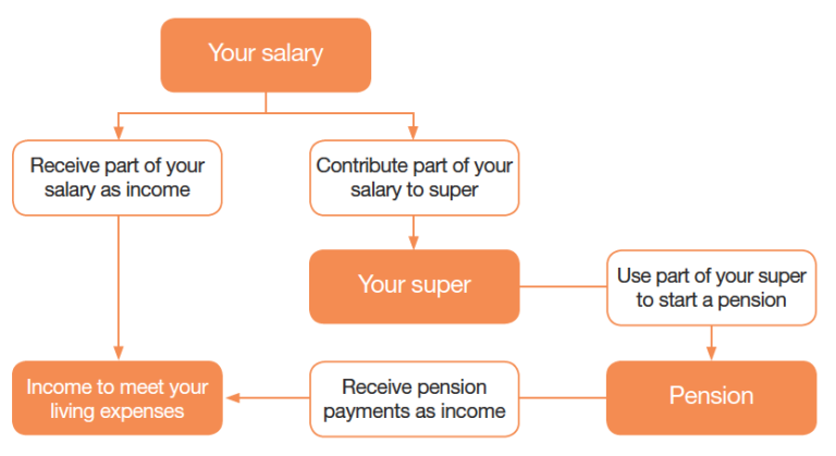 transition-to-retirement-in-plain-english-choose-wealth-financial-group